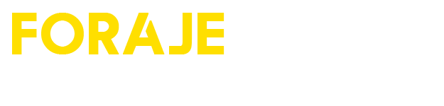 Foraje Puțuri Apă | Servicii Profesionale și Echipamente Moderne